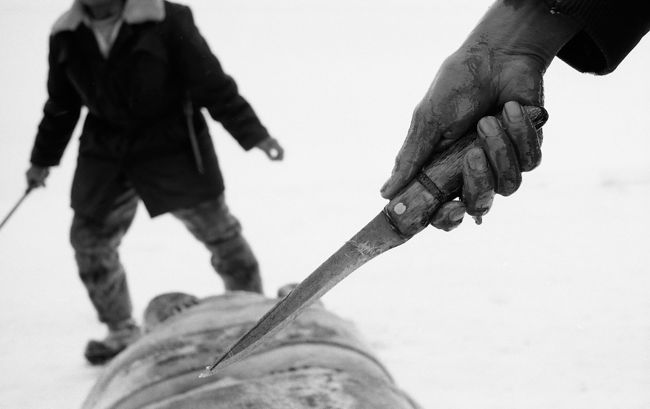 Андрей Безукладников. Нанук Севера. Эскимосы разделывают тушу тюленя. Берингов пролив, 1992