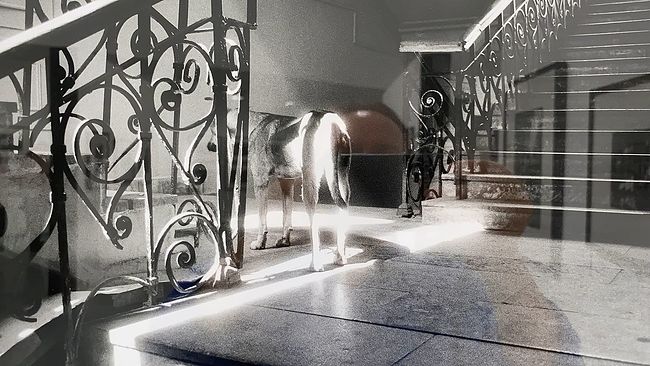 Моя любимая фотография на выставке Игоря Мухина в МДФ. Когда я сказал ему об этом, то узнал, что Игорь не понимает это фото и хотел уничтожить негатив, но что-то его остановило. Наверное, Вселенная, думаю я))