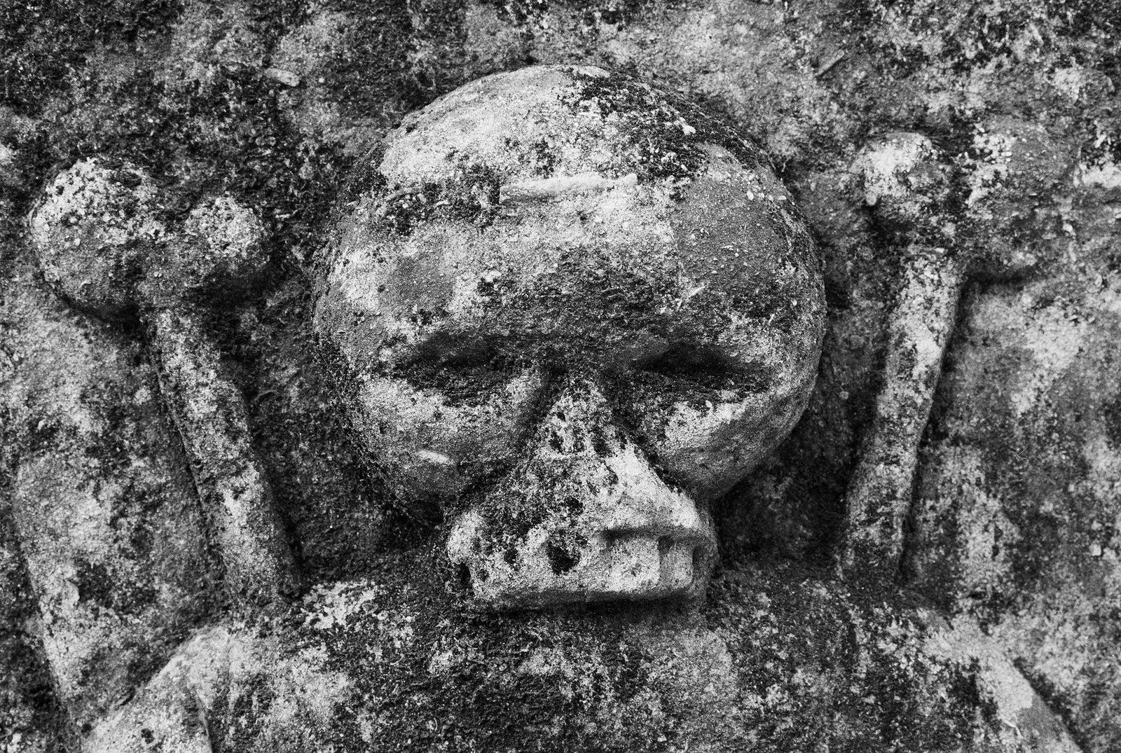 Некрополь Донского монастыря. Москва