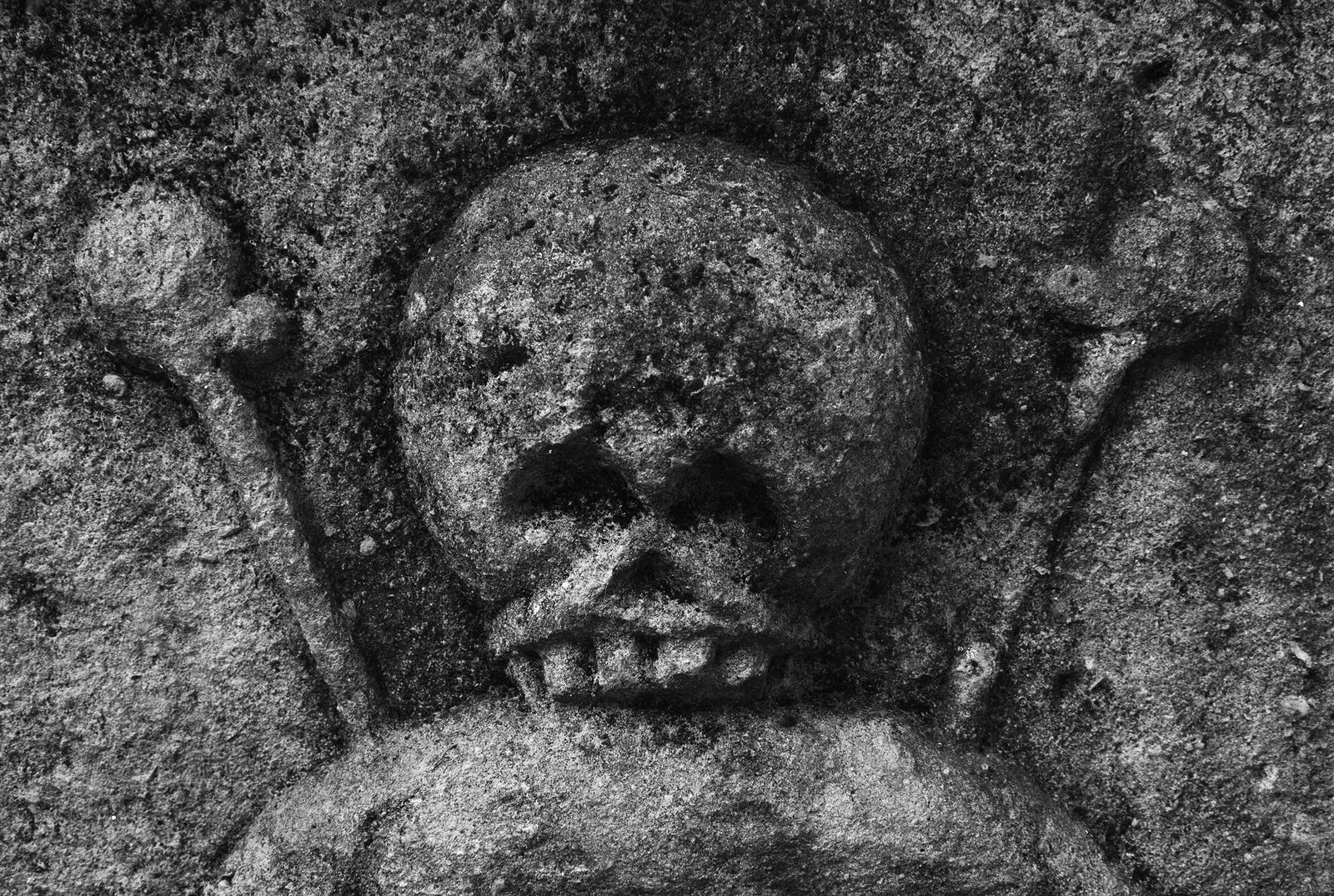 Некрополь Донского монастыря. Москва