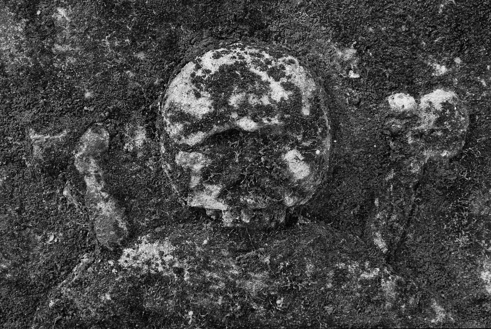 Некрополь Донского монастыря. Москва