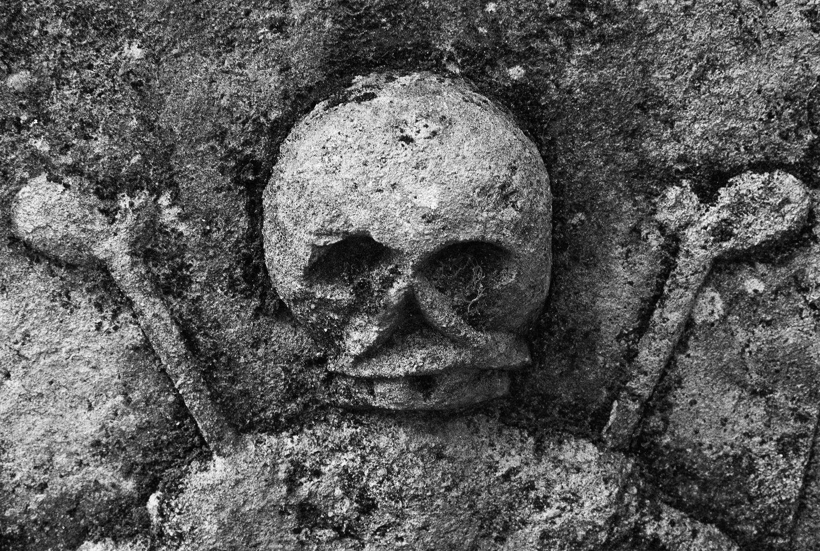 Некрополь Донского монастыря. Москва