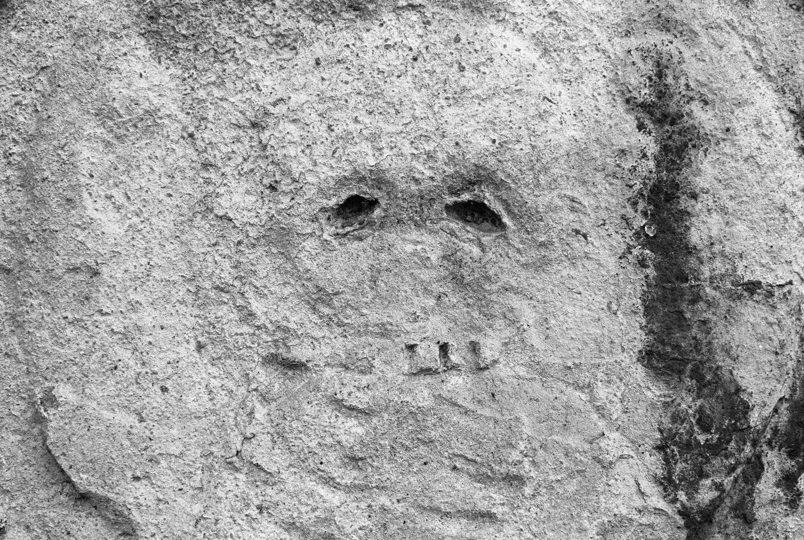 Некрополь Донского монастыря. Москва