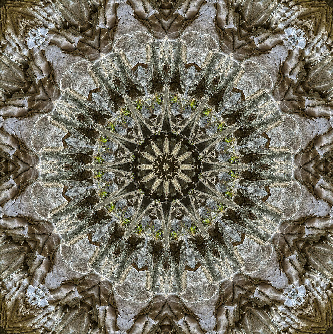 Национальный парк Саклыкент, Турция. Октябрь 2021