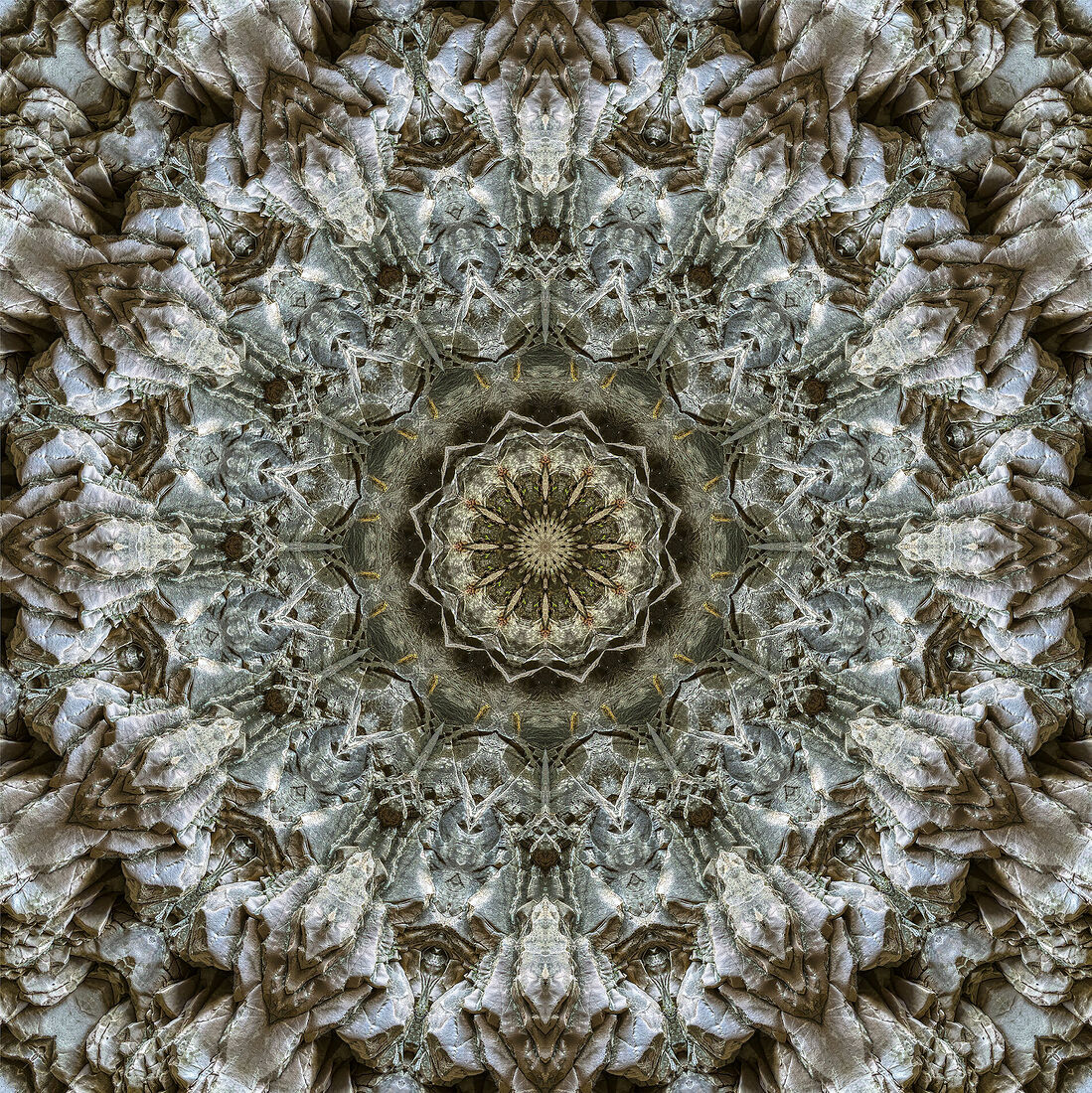 Национальный парк Саклыкент, Турция. Октябрь 2021